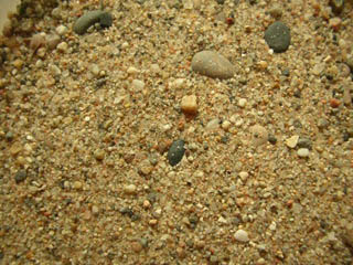 Playa de Las Arenas, L´Hospitalet de L´Infant